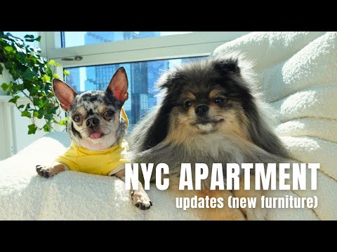 NYC Apartment Updates: Upgrading Our Living Room | Life in NYC