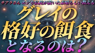 【サアラさん】グレイの格好の餌食となるのは？～エアや仏陀が説いた素晴らしい教えも…