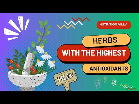 What Herbs contains the most antioxidants? 🌿 Top 10 Antioxidant Rich Herbs for Better Health