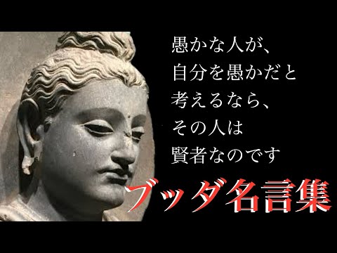 【ブッダの教え】悟りを開いたブッダの残した、人が生きるべき姿と考え方