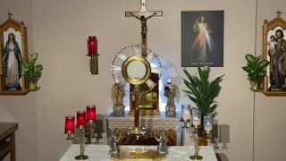 LIVE Eucharistic Adoration - Sisters of Divine Mercy