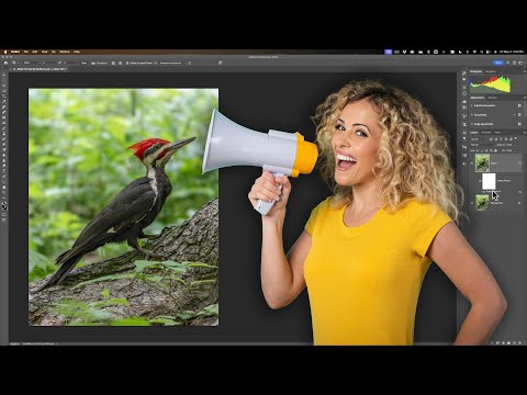 How to Use Photo AI as a PS Plugin PLUS an ANNOUNCEMENT!