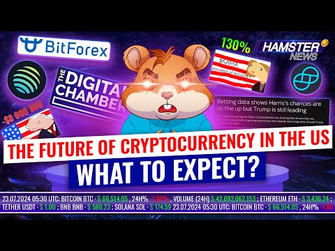 Kamala Harris meme coin surge, BitForex returns, $8M trader loss ⚡️ Hamster News