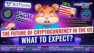 Kamala Harris meme coin surge, BitForex returns, $8M trader loss ⚡️ Hamster News