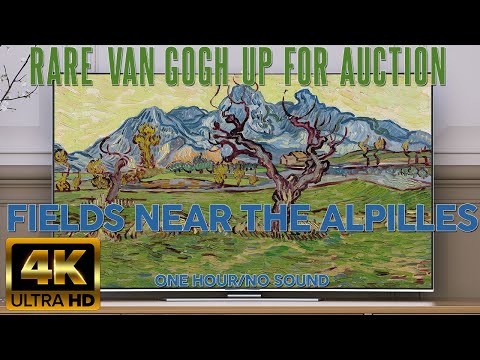 $45 MILLION VAN GOGH LANDSCAPE "Fields near the Alpilles" GOING UP FOR AUCTION | 4K ART SCREENSAVER