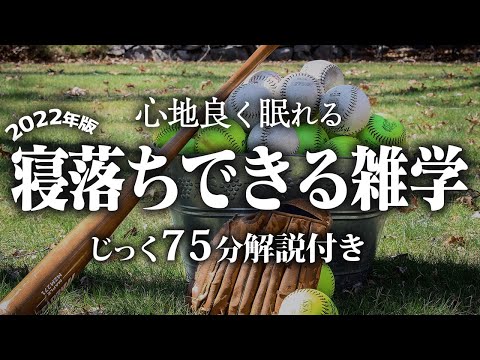 【睡眠導入】寝落ちできる雑学【リラックス】いつもより深い睡眠を♪