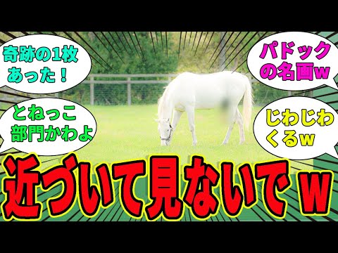 【最高】芸術の秋…競走馬の名画を集めてみたwwに対するみんなの反応集【競馬の反応集】