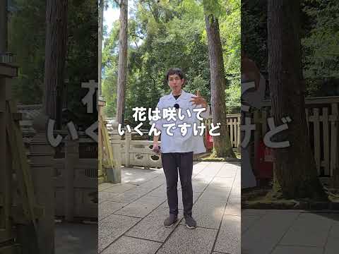 驚くほどに運気が上がる人の習慣　#スピリチュアル  #潜在意識  #shorts