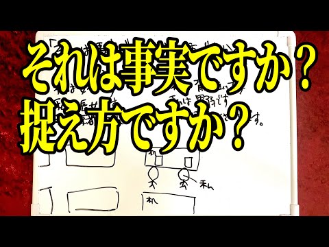 【陰◯は旅をする】アナトミーとセンターピースが始まりました✌️🥸(05/11/24)