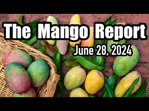 The Mango Report- June 28, 2024