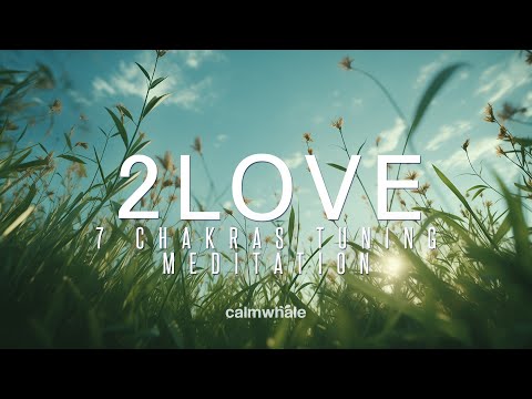 Tuning 2 LOVE Frequency :: Shaman Drum & RAV Relaxing Meditation | Calm Whale