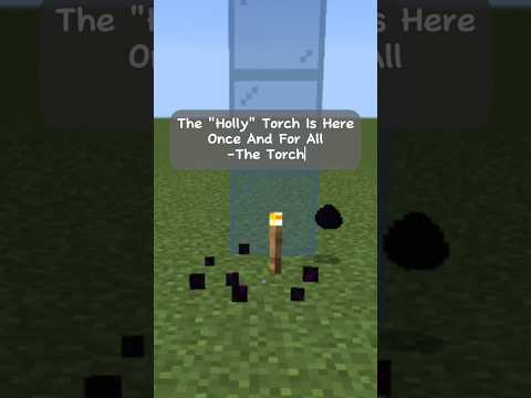 The "Holly" Torch Is Here Once And For All #minecraft #logic #foryou #shorts