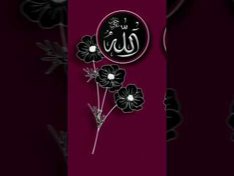 muhammad allah allah name islami short video viral dp plezz.subscribe kara