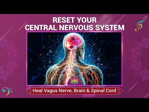 Reset Your Central Nervous System - Heal Vagus Nerve, Brain & Spinal Cord - Music Therapy