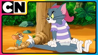 Tom & Jerry 😺🐭| A Frienemy in Need! 🧀| #compilation | #catandmouse | Cartoon for Kids | @cnindia