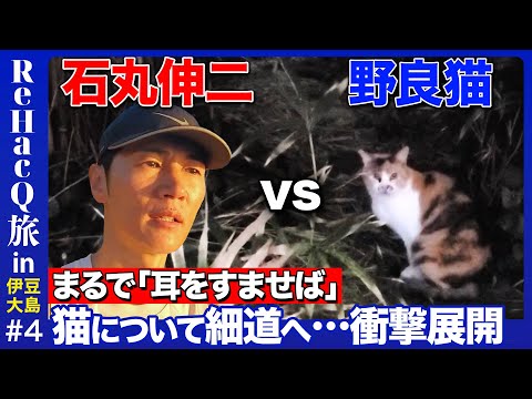 【石丸伸二vs野良猫】東京の離島！「伊豆の踊り子」舞台の漁港で…まさかの展開【ReHacQ旅】