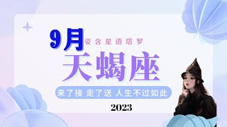 天蝎座♏️9月星座运势｜来了接 走了送人生不过如此｜工作事业情感人际｜12星座塔罗星象