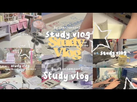 #18 #xh #tiktok #studyvlog ◞  ❜❛ ೕ Tổng hợp các video study vlog trên tiktok ◞  🐾🦢