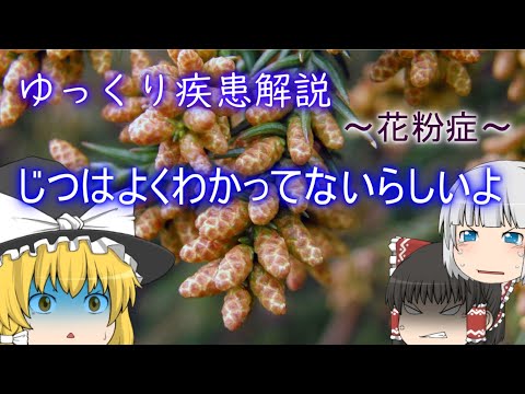 花粉症ってなんぞ？【ゆっくり解説】