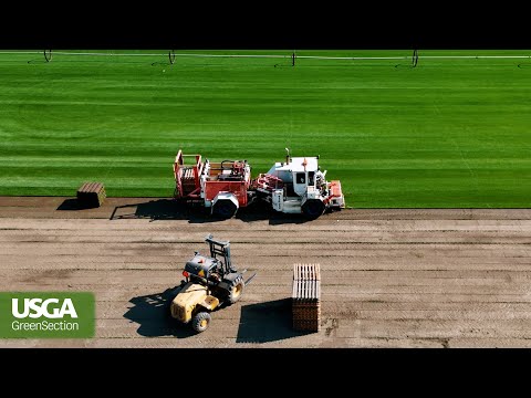 From Farm to Fairway: How We Get Better Grasses for Golf