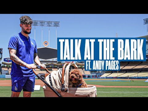 Talk at the Bark with Andy Pages | Presented by TAVO