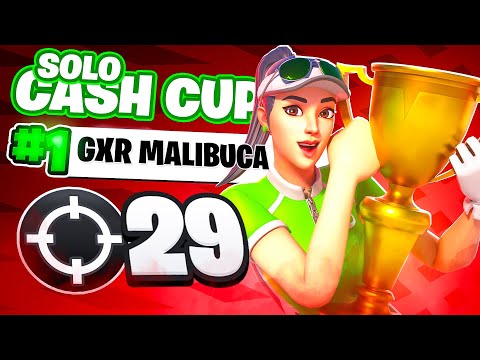 29 KILLS WIN IN SOLO CASH CUP  💣 | Malibuca