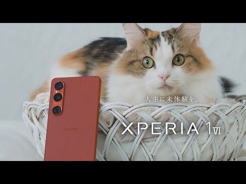 Xperia 1 VI テレマクロ機能体験動画 ～まさか、こんな小さな世界まで～　小川晃代氏【ソニー公式】