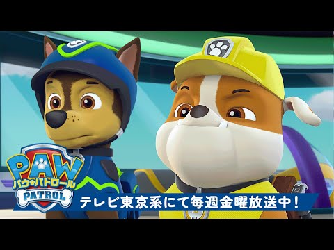 パウ・パトロール | チェイスとラブルのチームワーク！ | テレビ東京系にて放送中