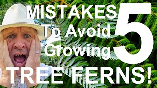 Five Mistakes to Avoid When Growing Tree Ferns - Dicksonia antarctica