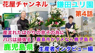 【花屋チャンネル】産まれたばかりの息子の為にパパは頑張る‼️生産者インタビュー‼️鹿児島県の百合農家‼️鎌田洋平さんの開業話#鎌田ユリ園#百合農家#オリエンタル#百合#鹿児島#鎌田洋平#生産者#ユリ