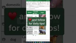 Ultimate Excel Tips and Tricks - Excel Tricks Series #tricksverse #excel_hacks #exceltutorials