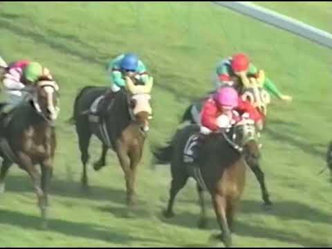 ヤマニンゼファー 1993年 第44回毎日王冠(GII) (優勝馬：シンコウラブリイ)(実況：ラジオたんぱ)