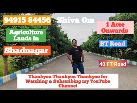 1 Acre Land for Sale in Shadnagar | Agriculture Lands #agriculturelandsinshadnagar #landsinshadnagar