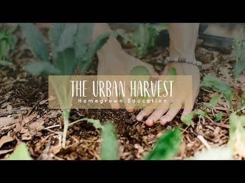 The Urban Harvest - Homegrown Education Live Stream