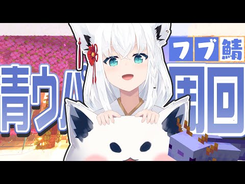 【Minecraftフブ鯖】今月中に青ウパりたい！！！今日も忍耐青ウパチャレンジ！！【ホロライブ/白上フブキ】