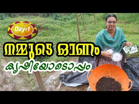 നമ്മുടെ ഓണം കൃഷിയോടൊപ്പം - Cucumber Cultivation