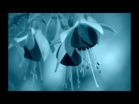 Flowers of Another World, Romantic & Dreamy Music (instrumental, original composition)