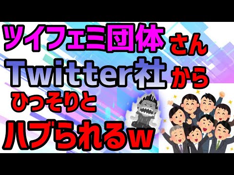 ツイフェミ団体さん達がひっそりとtwitter上から排除されていた件