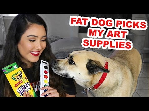 I Let My Dog Pick My Art Supplies (& I Draw Her Like The Masterpiece She is)