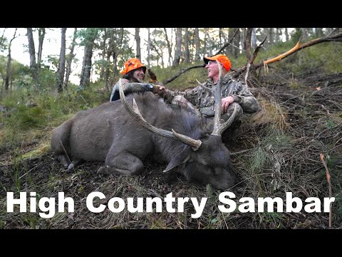 Sambar Deer Hunting Australian High Country