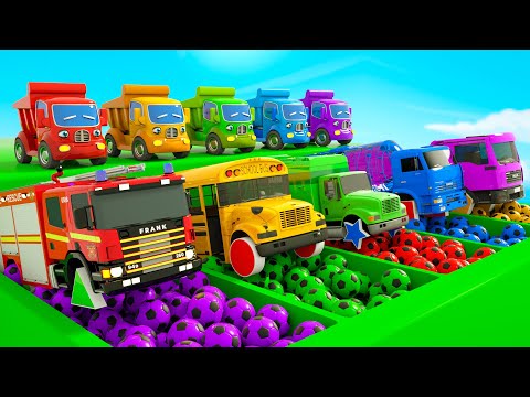 Baby Shark + Bingo Song - Soccer ball shaped wheels and School Bus -Baby Nursery Rhymes & Kids Songs