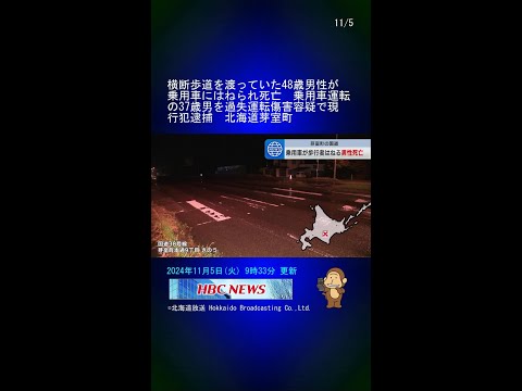 横断歩道を渡っていた48歳男性が乗用車にはねられ死亡　乗用車運転の37歳男を過失運転傷害容疑で現行犯逮捕　北海道芽室町 #Shorts