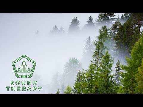 Sound Therapy | Meditation Music | 8 HR Piano | Black Screen | Relaxing Music | Sleep Music ☮