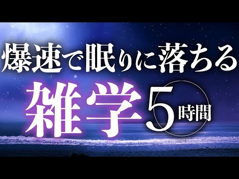 【睡眠導入】爆速で眠りに落ちる雑学5時間【合成音声】