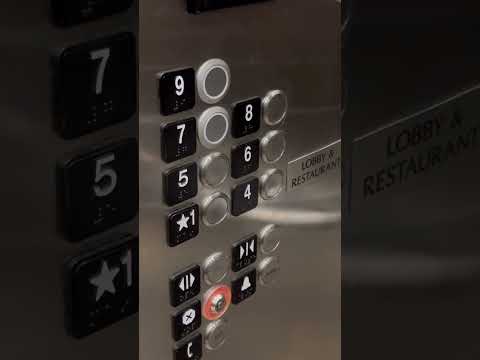 How to operate hotel elevator 🇺🇸🏨 #ytshorts #shortsviral #shorts