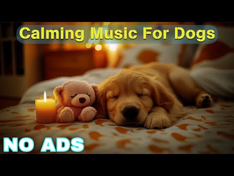 12 Hours of Dog Calming Music For Dogs 💖 Dog Separation Anxiety Music 🐶 Pet claming music🎵No Ads