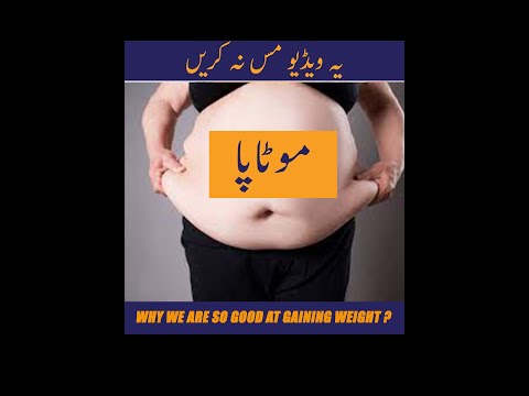 obesity-how body store fat? why do we gain weight?