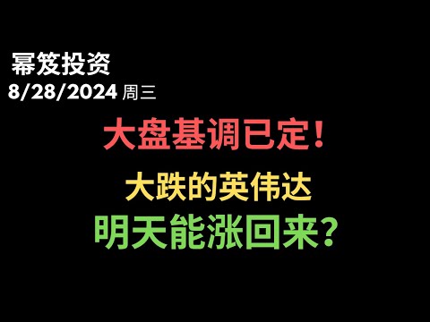 第1263期「幂笈投资」8/28/2024  大不妙！因为英伟达，大盘基调定了 ｜ 盘后大跌，明天就能涨回来？！｜moomoo