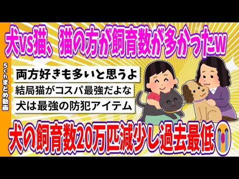 【2chまとめ】犬vs猫、猫の方が飼育数が多かったwww、犬の飼育数20万匹減少し過去最低😭【面白いスレ】