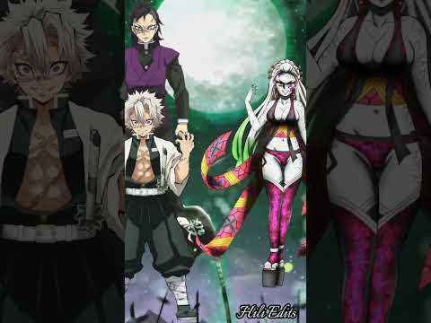 Sanemi & Genya VS Demon Slayer verse